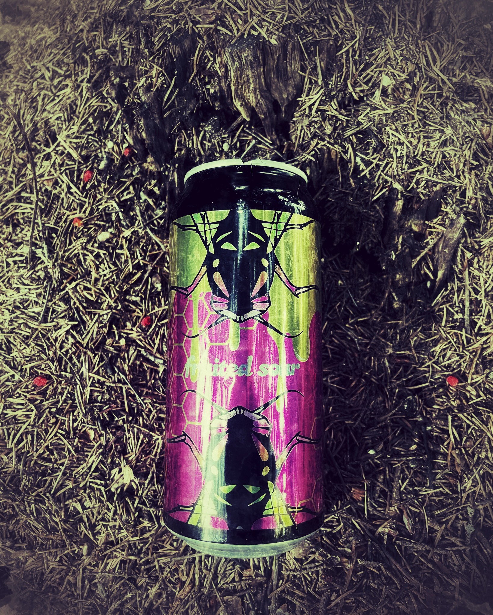 Ampiainen: Thorax, Finland