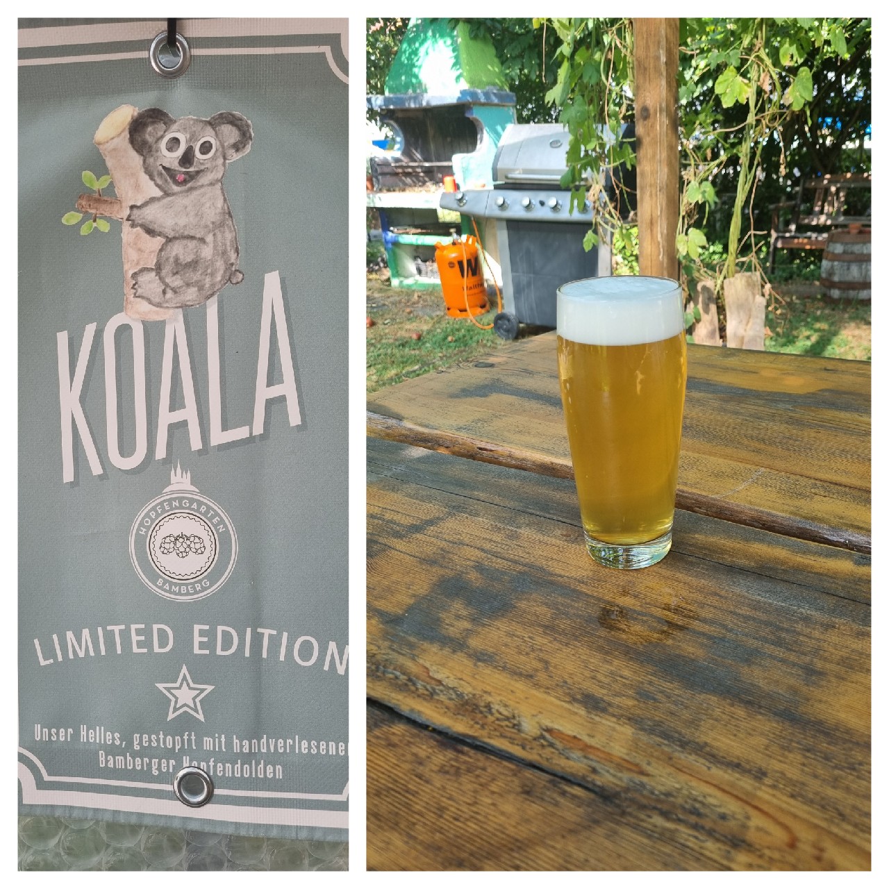 Hopfengarten Koala, Germany