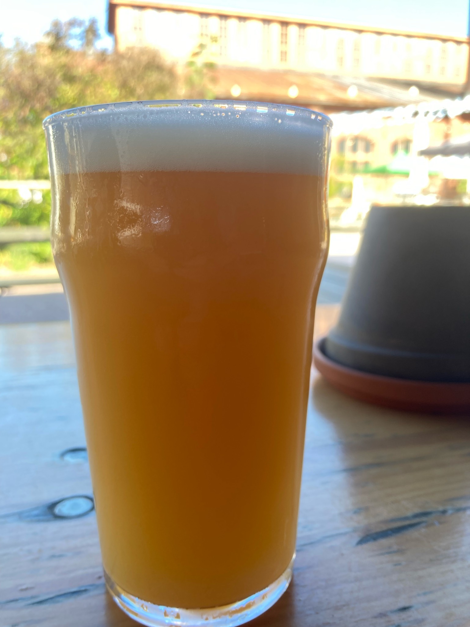 Hemmola Haze Series IX: Cascade & Idaho 7, Finland