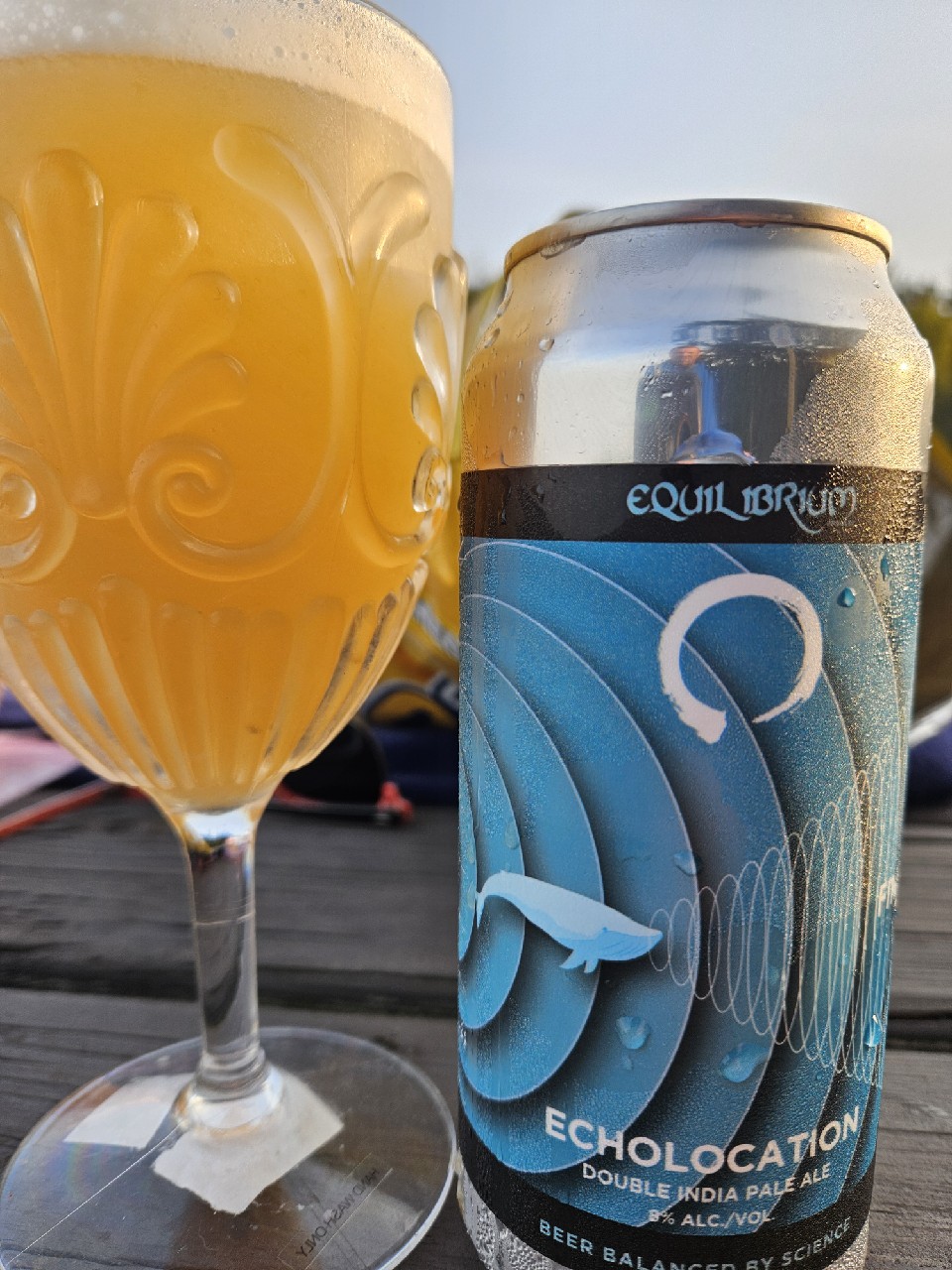 Echolocation, United States