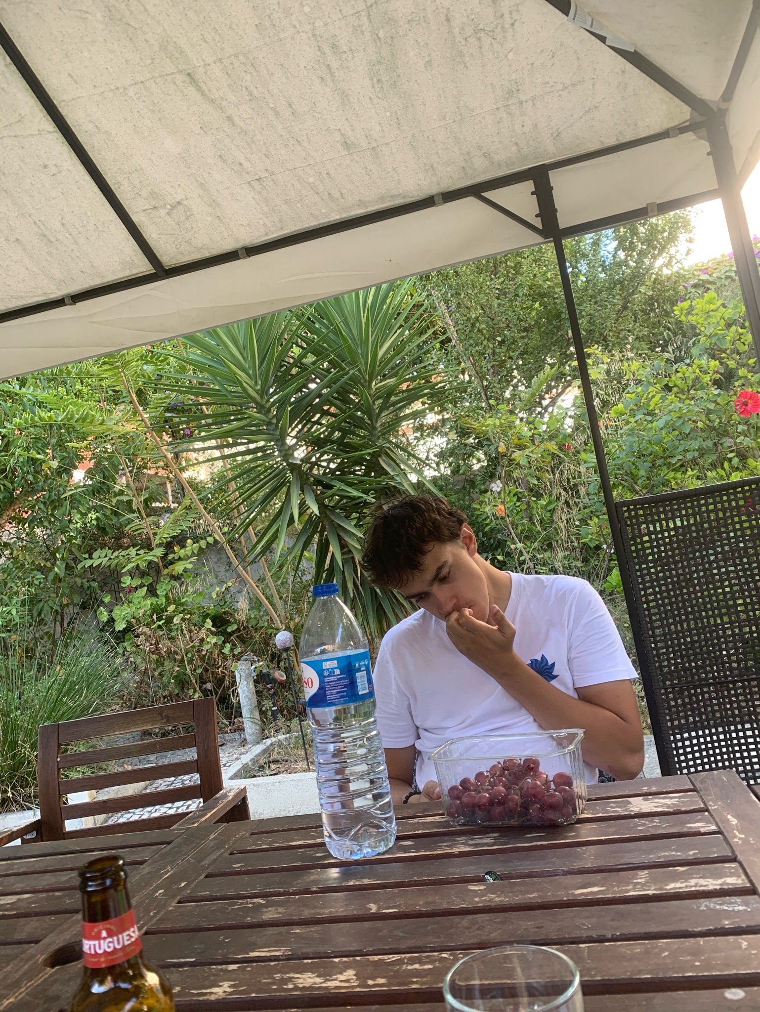 Cerveja Portuguesa, Portugal