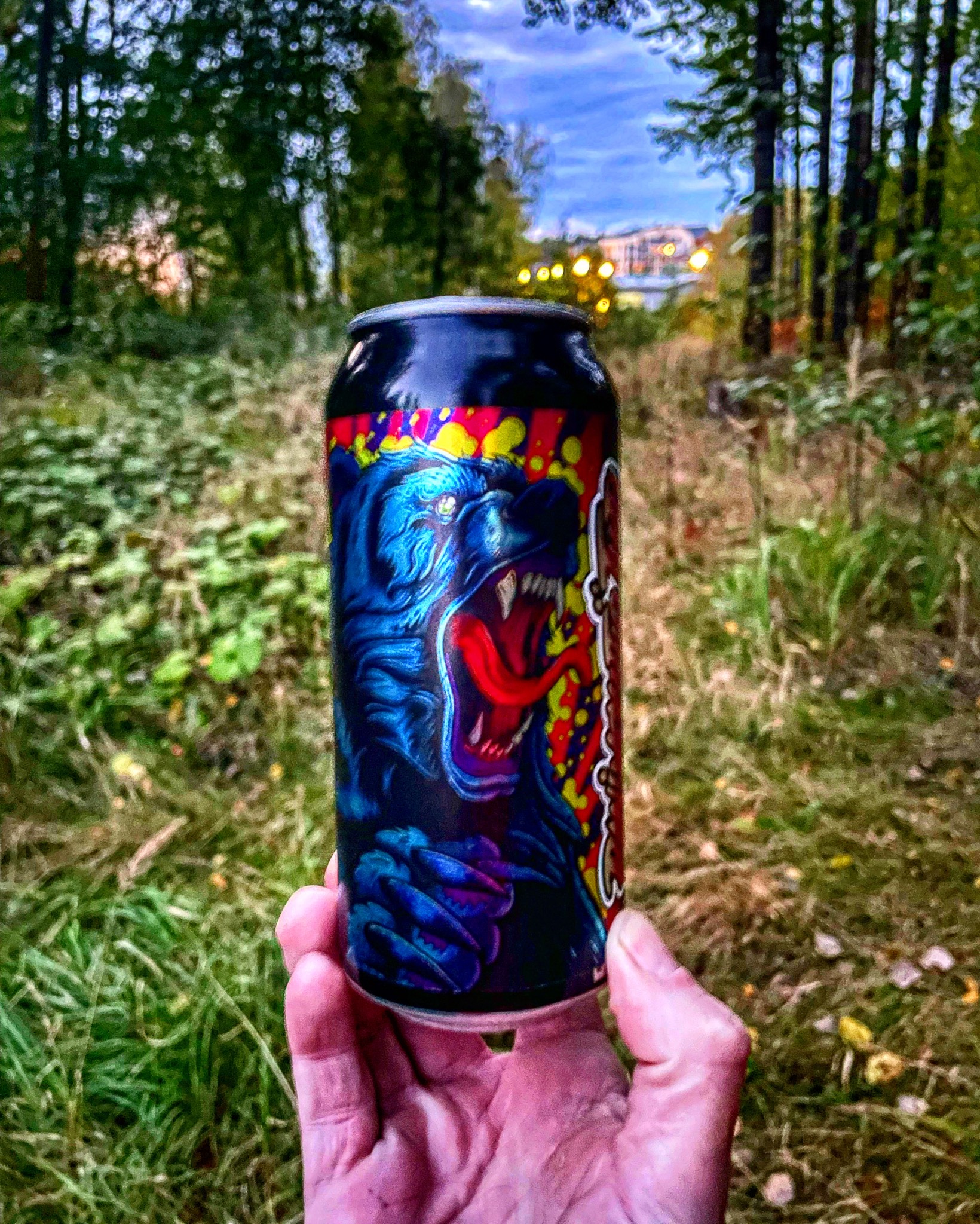 Otsoni Aukko, Finland