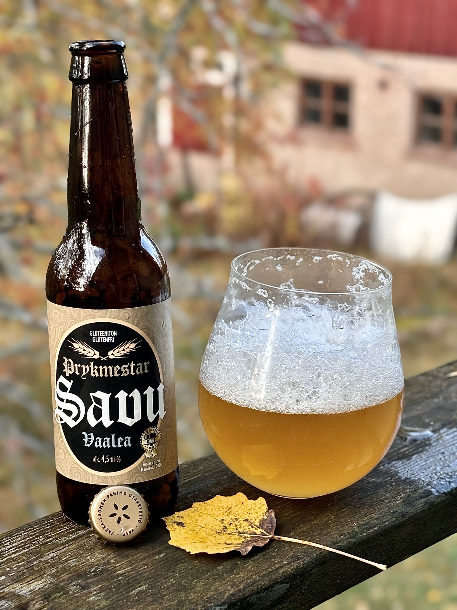 Prykmestar Savu Vaalea, Finland