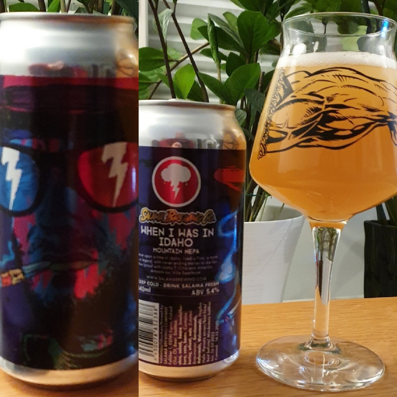 When I Was in Idaho, Finland