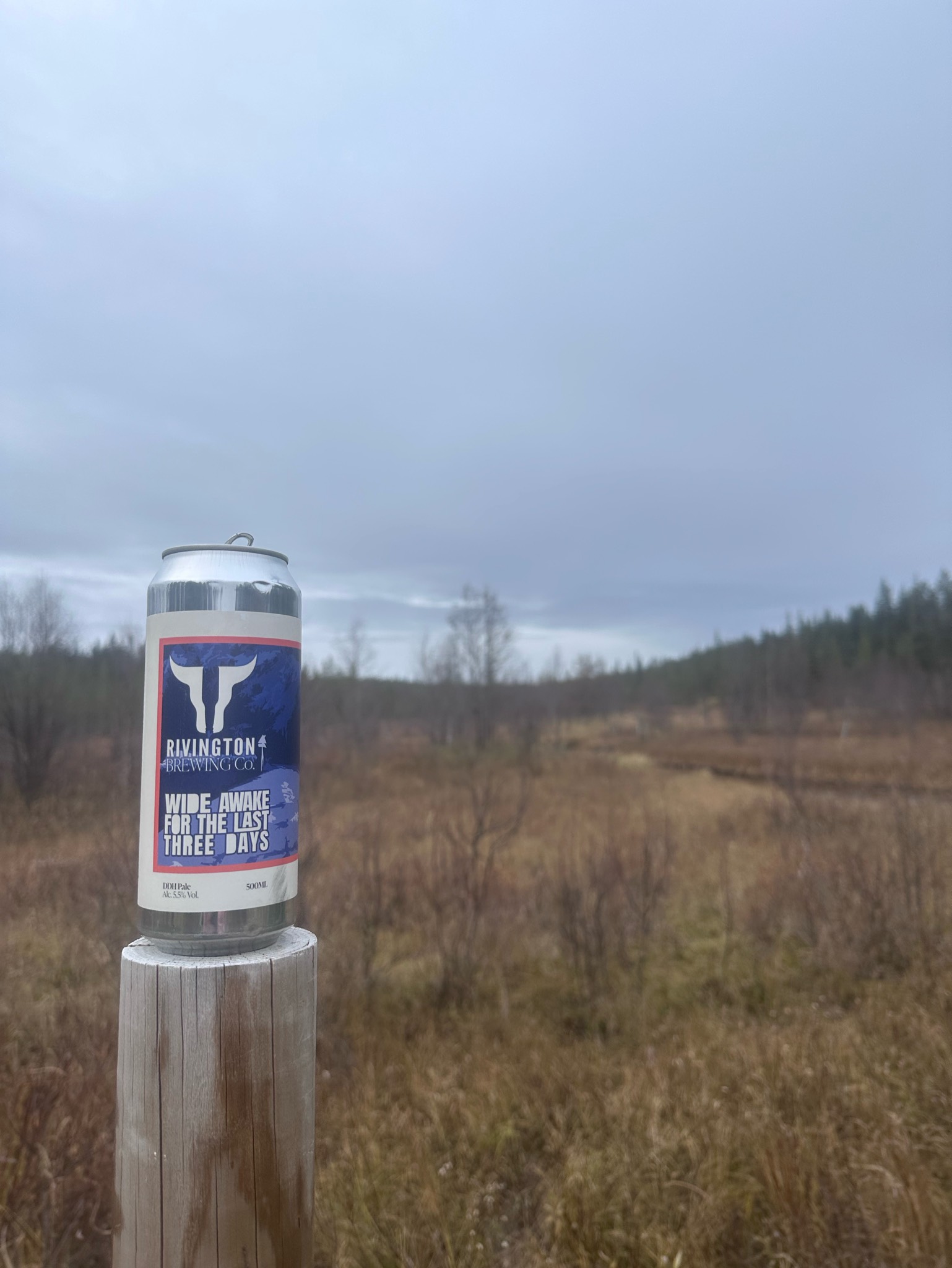 Wide awake for the last three days, England