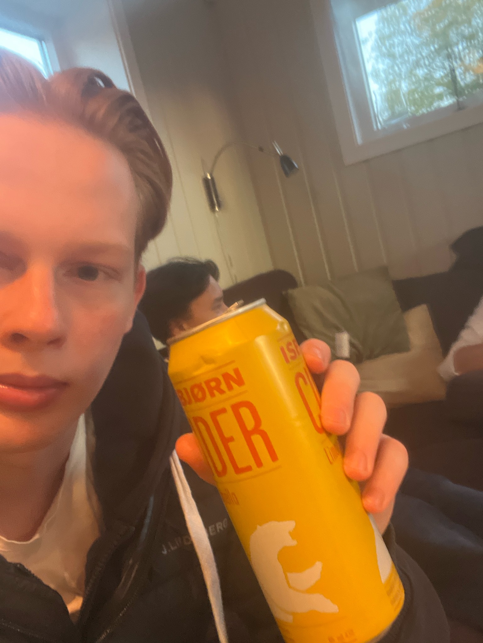 isbjørn cider limonella, Norway