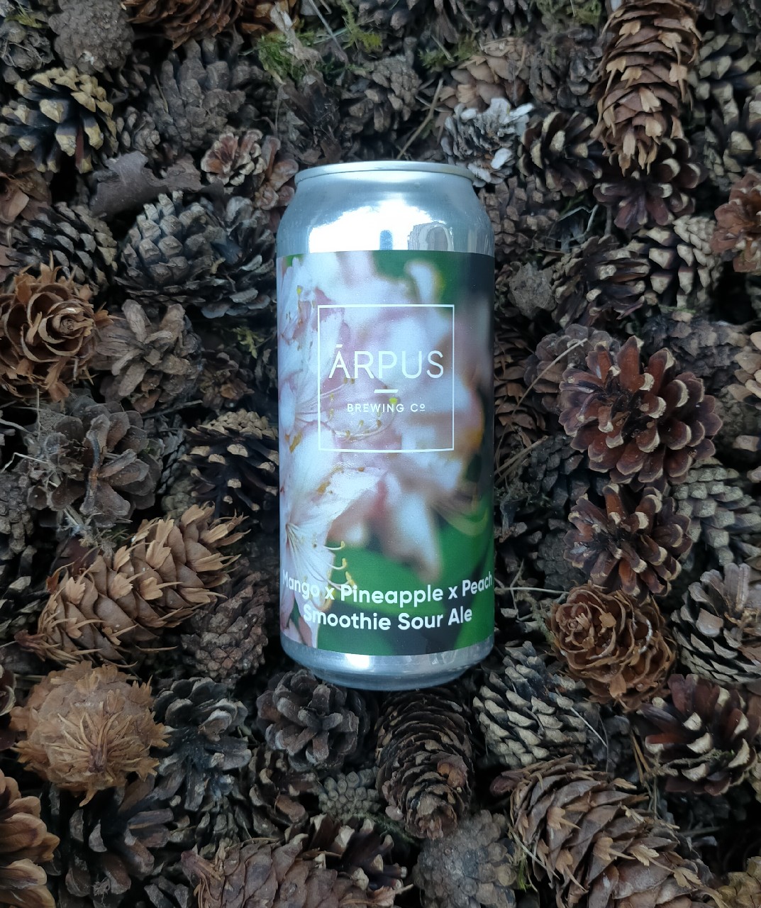 Mango x Pineapple x Peach Smoothie Sour Ale, Latvia