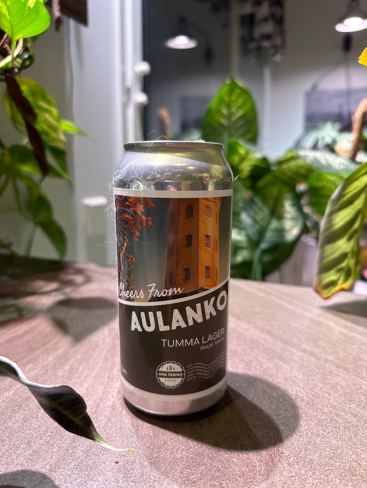 Aulanko, Finland