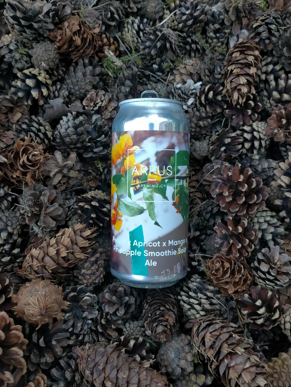 Peach x Apricot x Mango x Pineapple Smoothie Sour Ale, Latvia