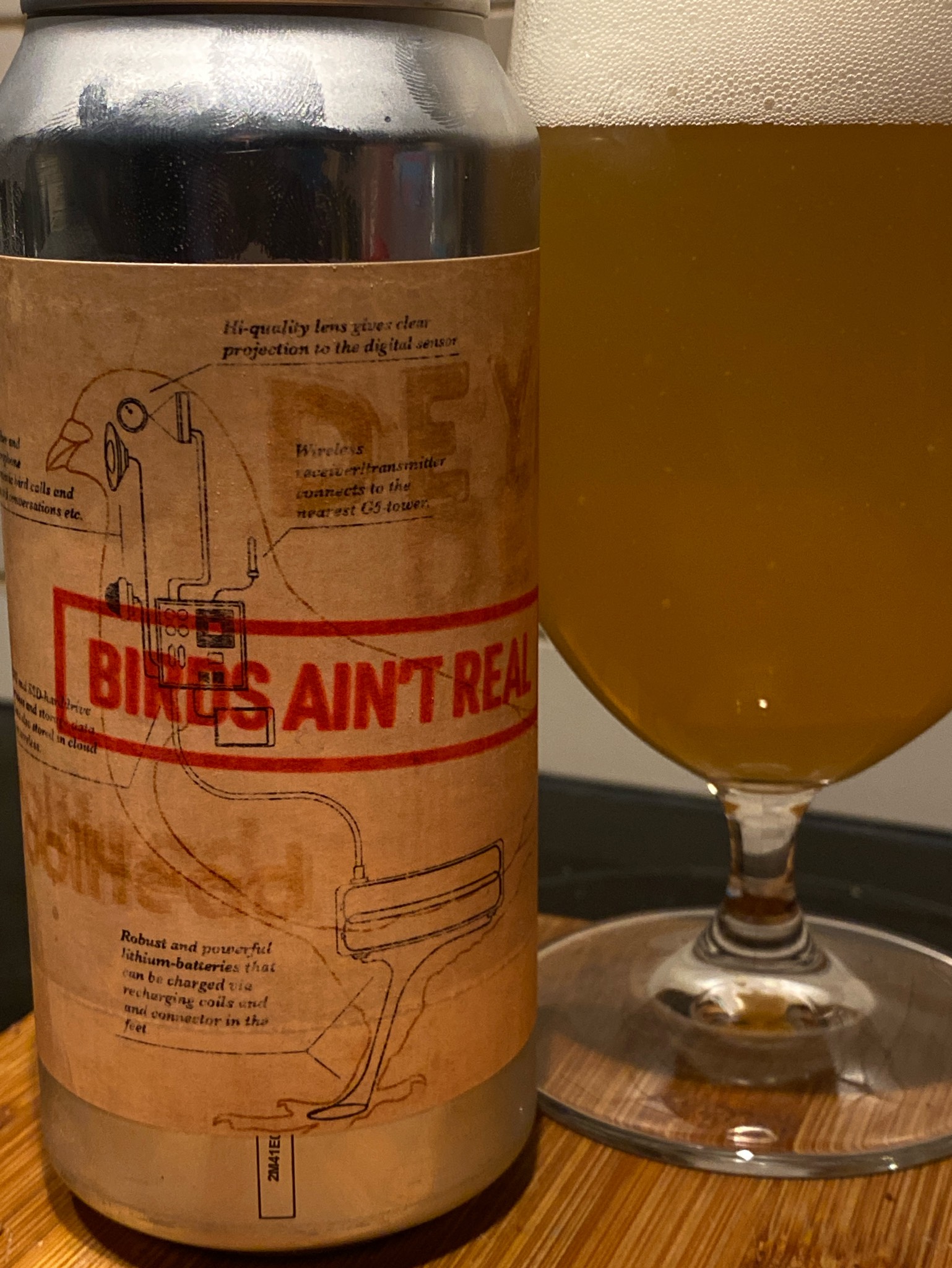 Tin Foil Hat Series #04: Birds Ain't Real, Finland