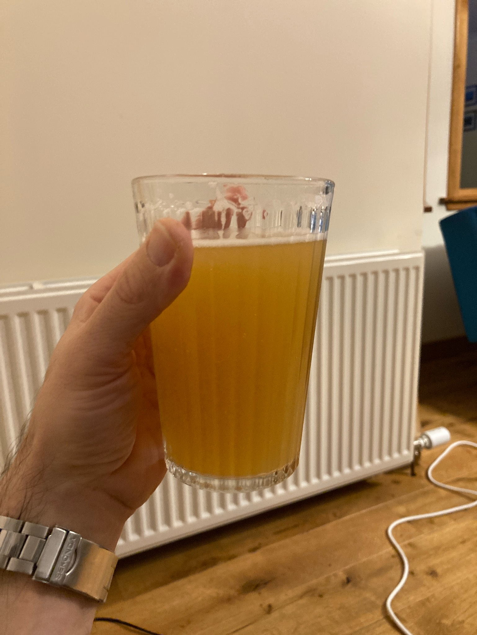 double hazy ipa, Anti Establishment