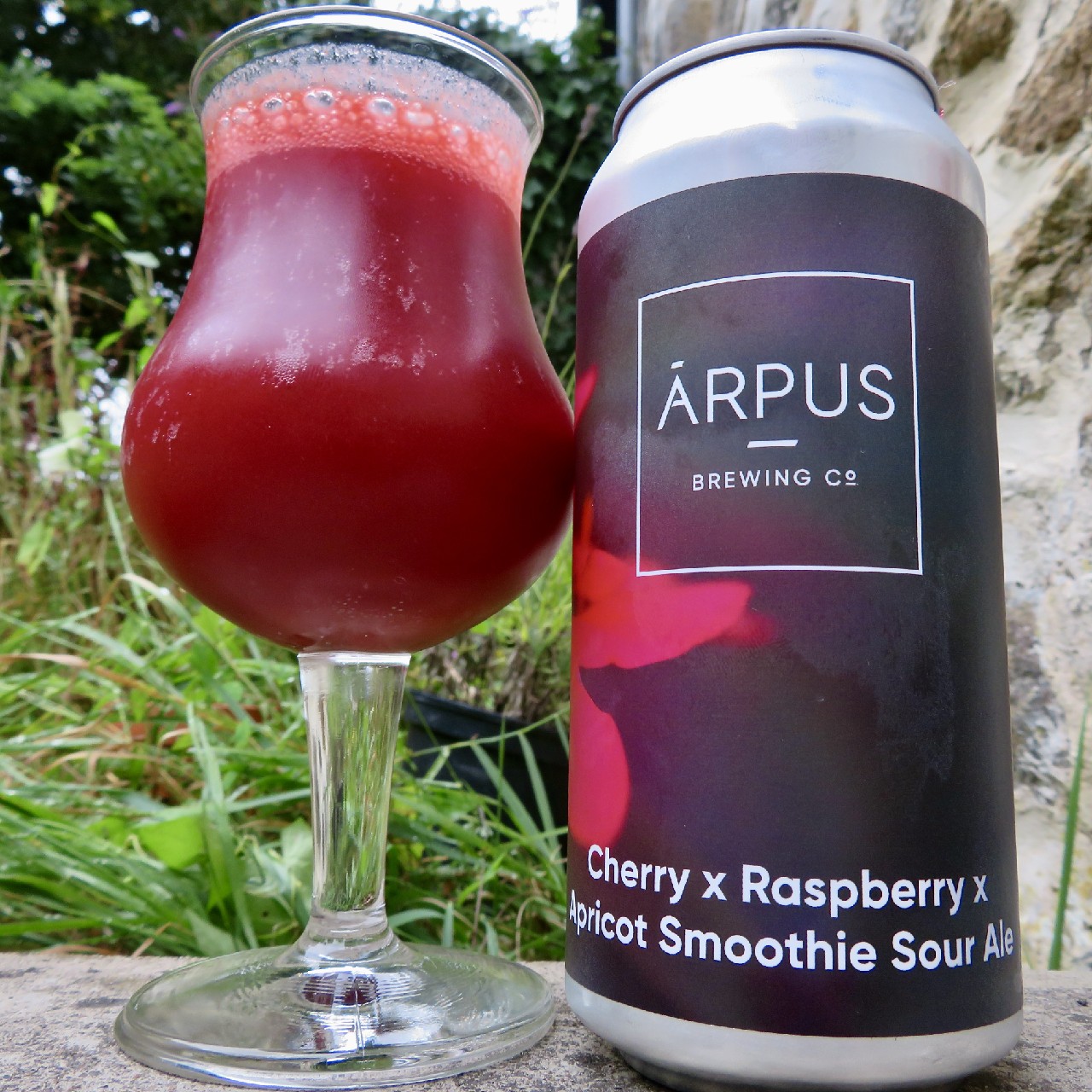 Cherry x Raspberry x Apricot Smoothie Sour Ale, Latvia