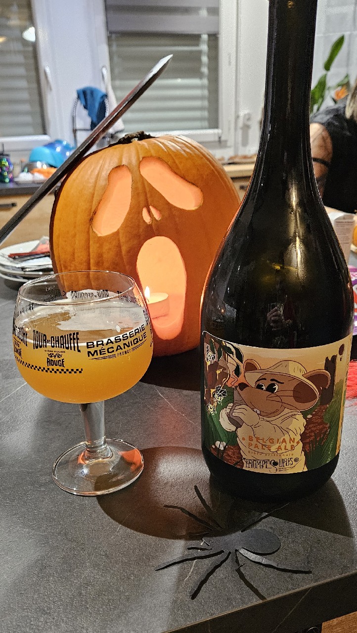 belgian pale ale, France