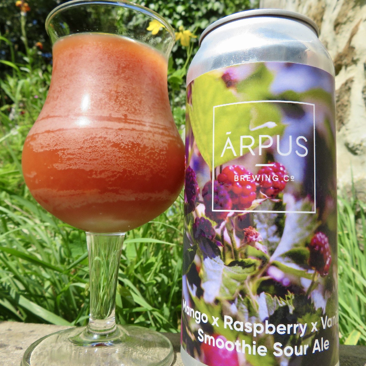Mango x Raspberry x Vanilla Smoothie Sour Ale, Latvia