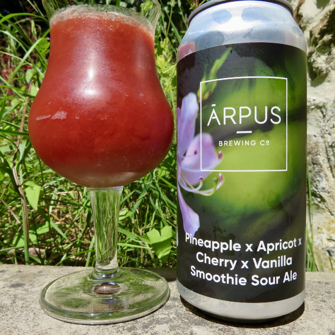 Pineapple x Apricot x Cherry x Vanilla Smoothie Sour Ale, Latvia