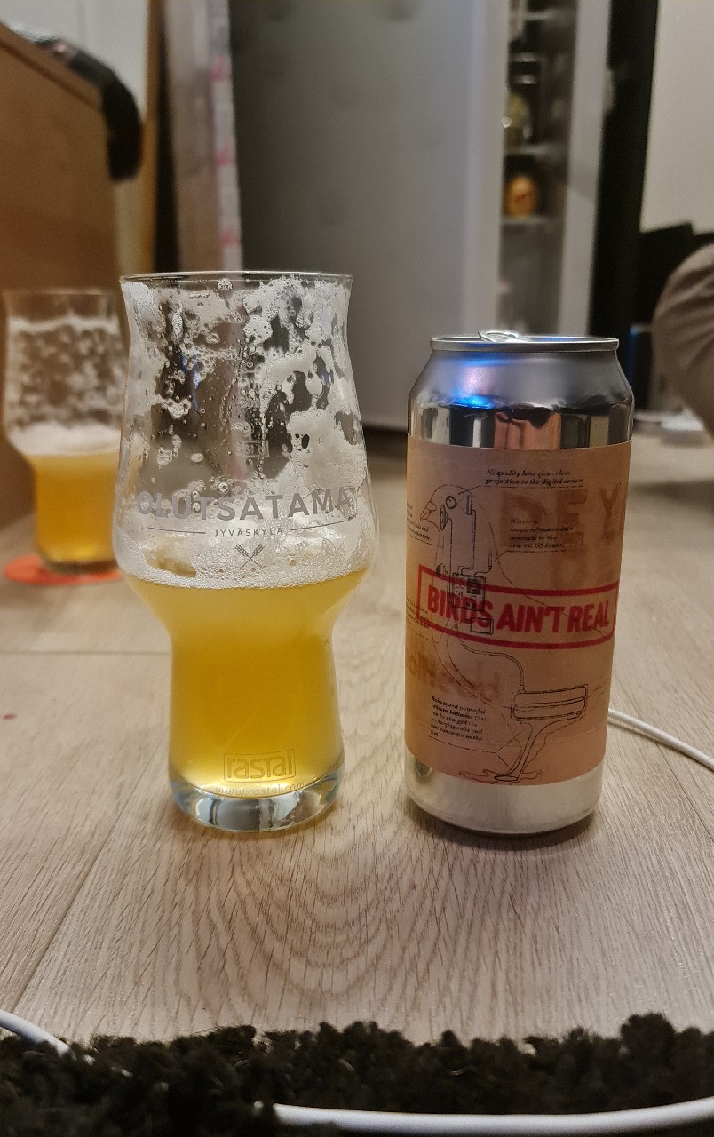 Tin Foil Hat Series #04: Birds Ain't Real, Finland