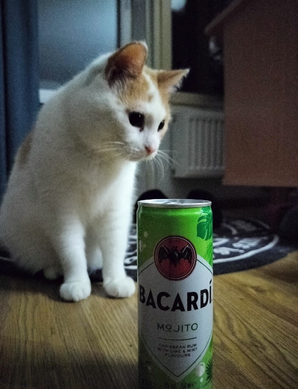 Bacardi Mojito, Finland