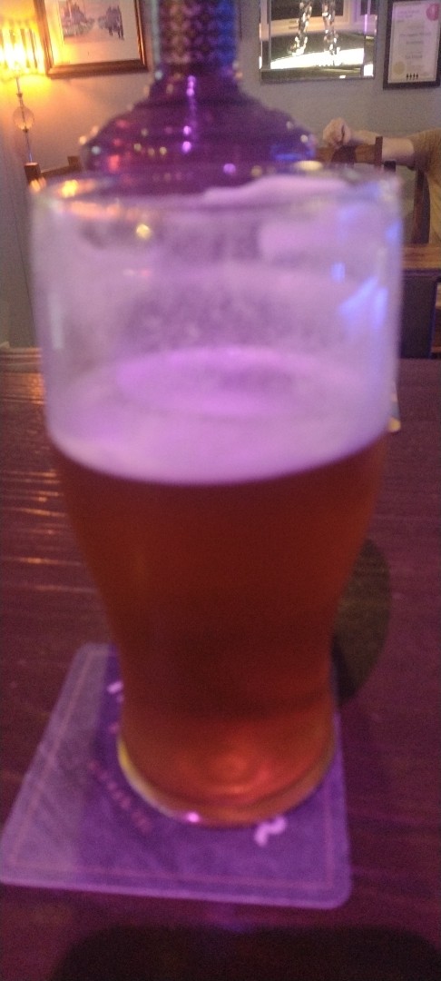 Cotleigh golden seahawk, Nuttycombe Brewery