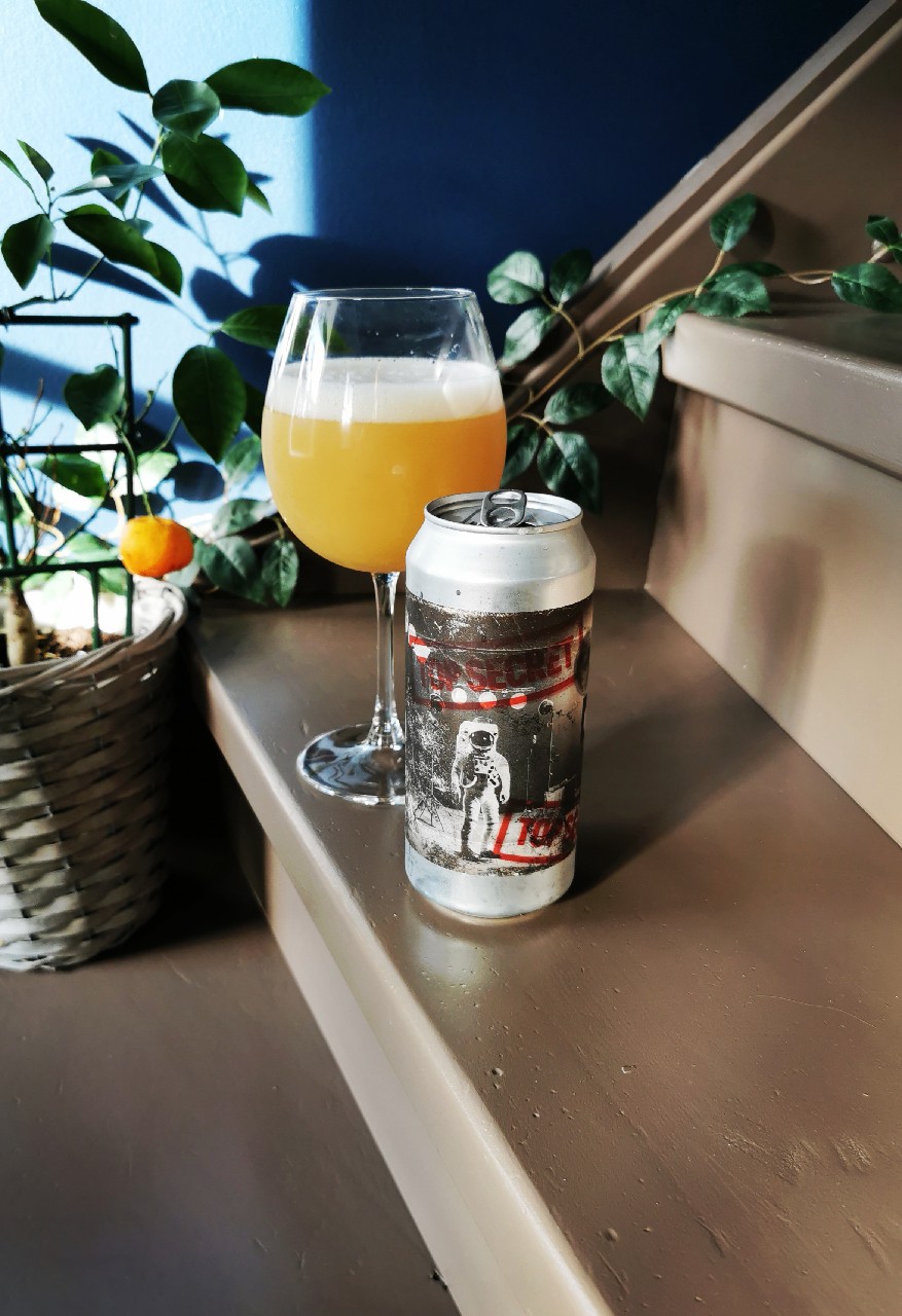 Tin Foil Hat Series #05: Moon Landing Hoax, Finland