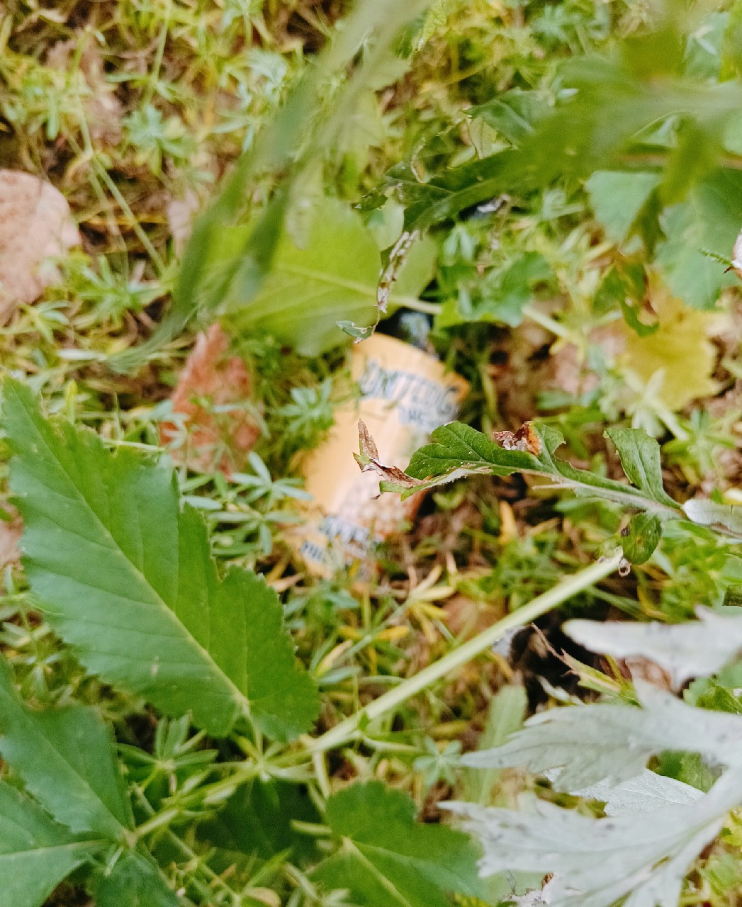 Kefirade: Pineapple, Finland