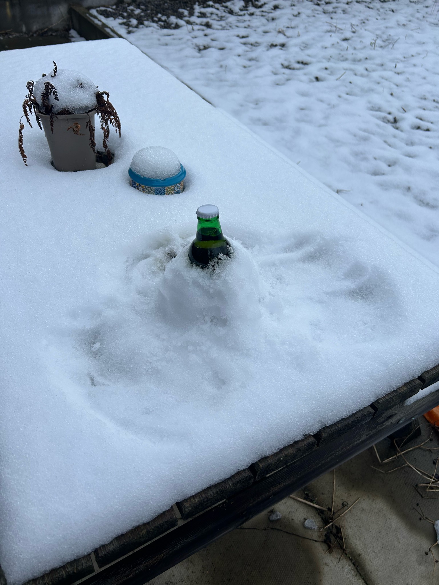 Saint-Bertin, Germany