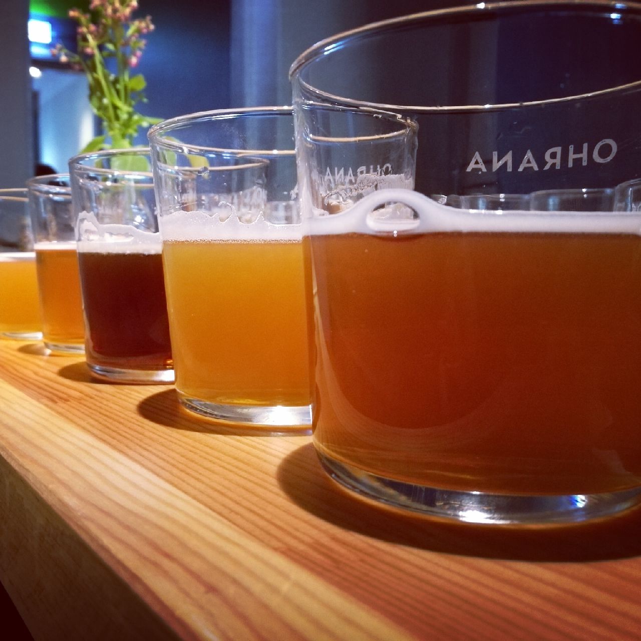 Ohrana Vehnä, Finland