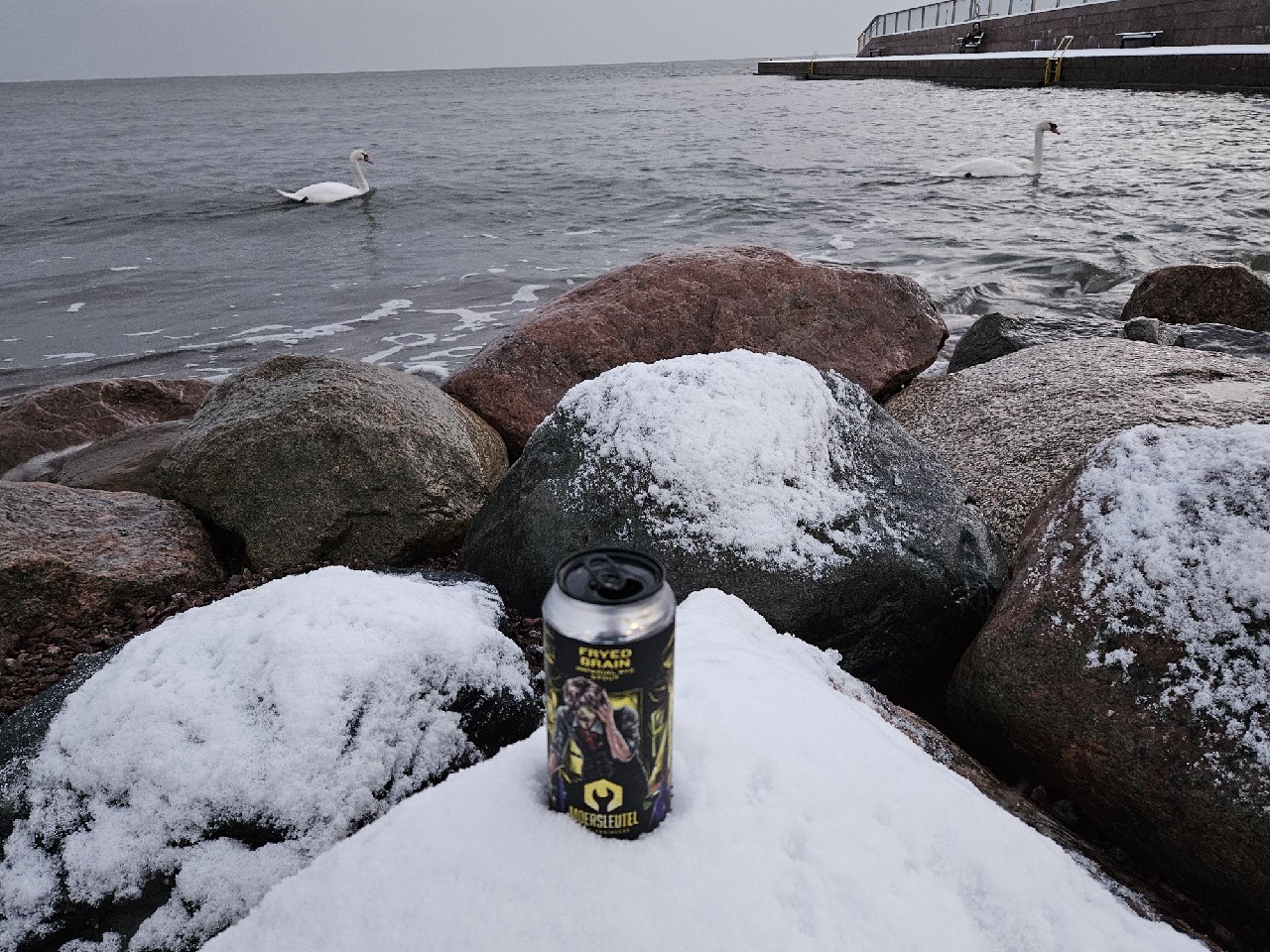 Fryed Brain, Netherlands