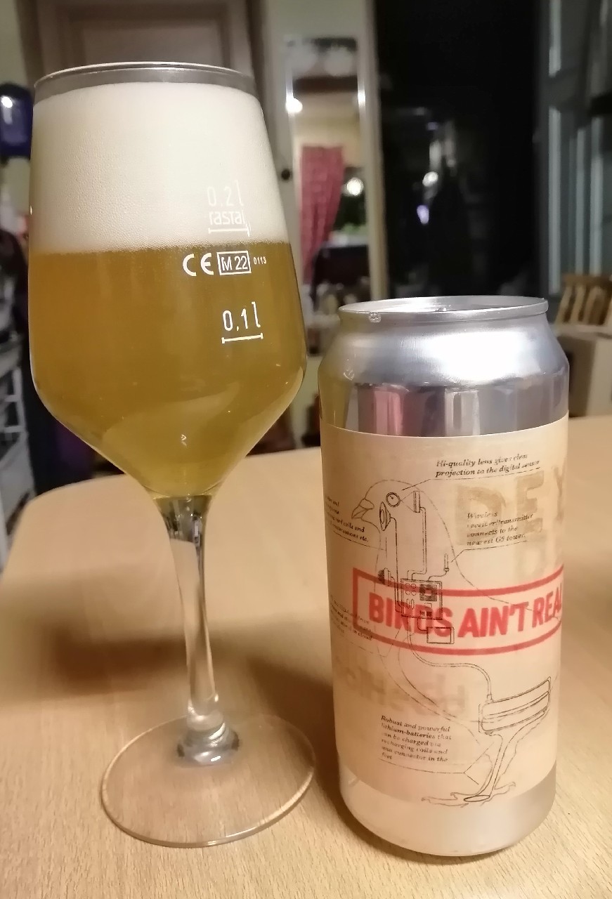 Tin Foil Hat Series #04: Birds Ain't Real, Finland