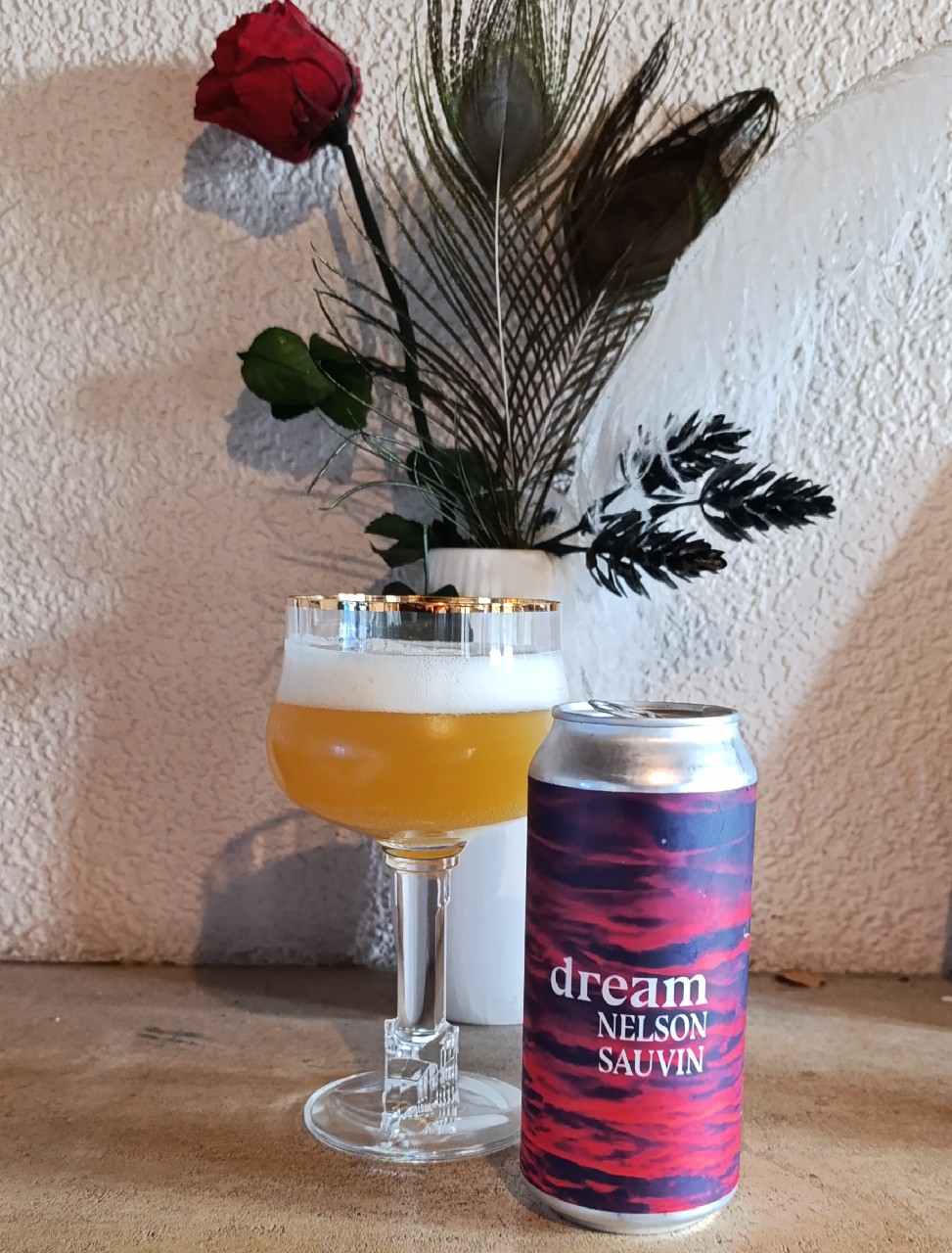dream in (Nelson Sauvin ), Belgium
