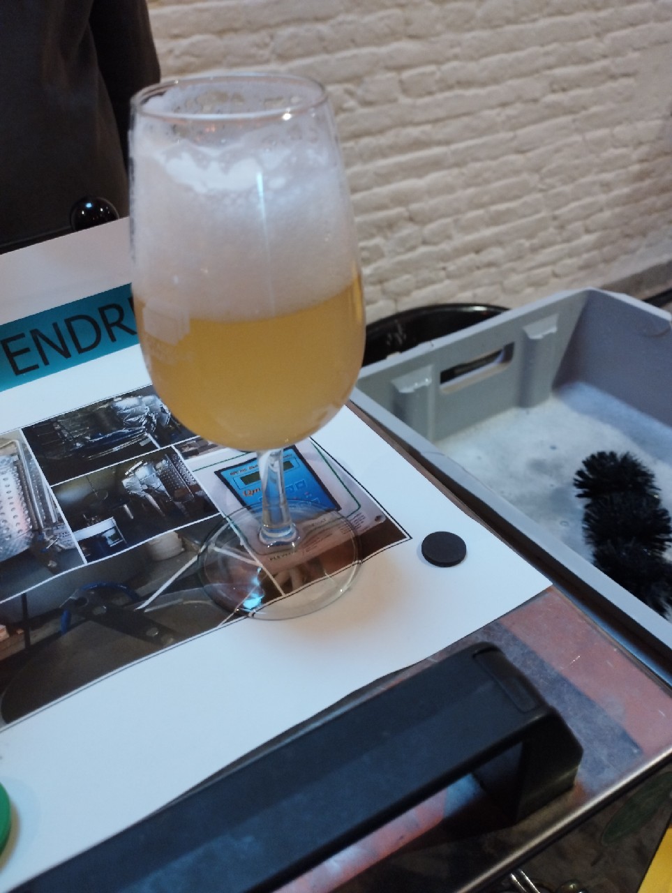 blanche du condroz, Belgium