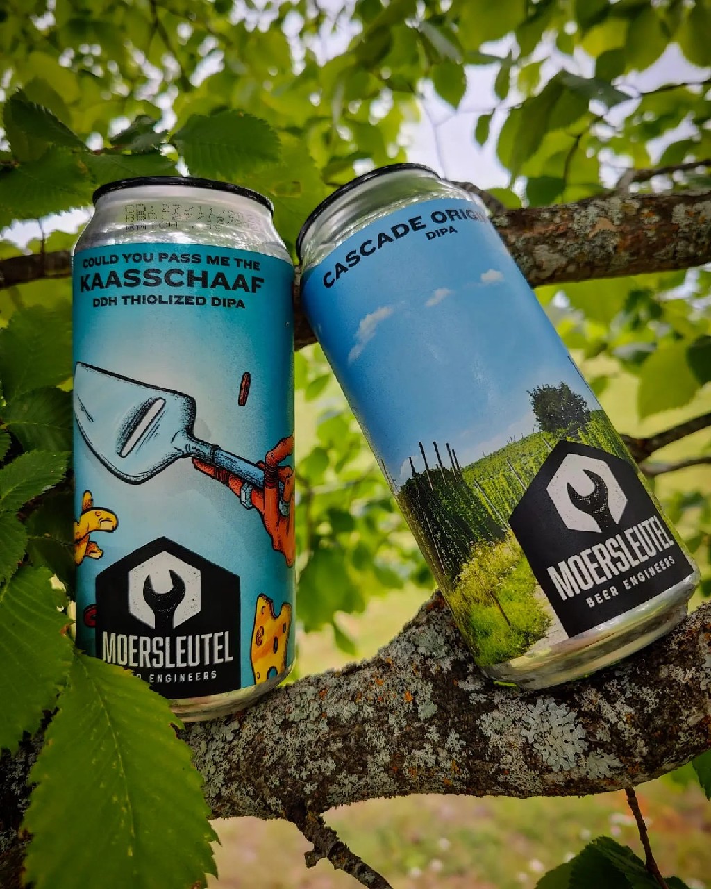 Cascade Origin x7, Netherlands