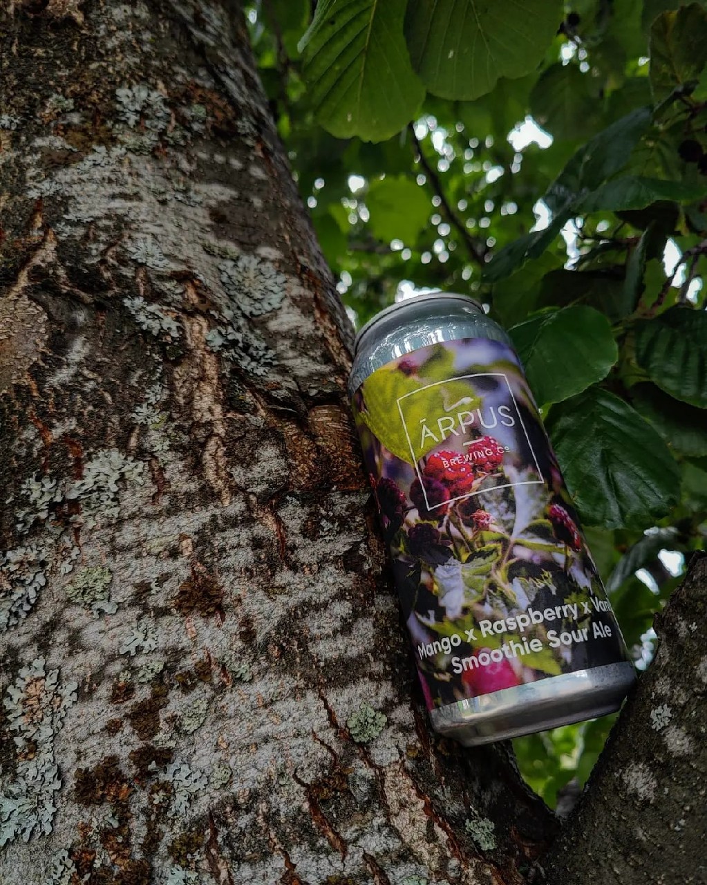 Mango x Raspberry x Vanilla Smoothie Sour Ale, Latvia