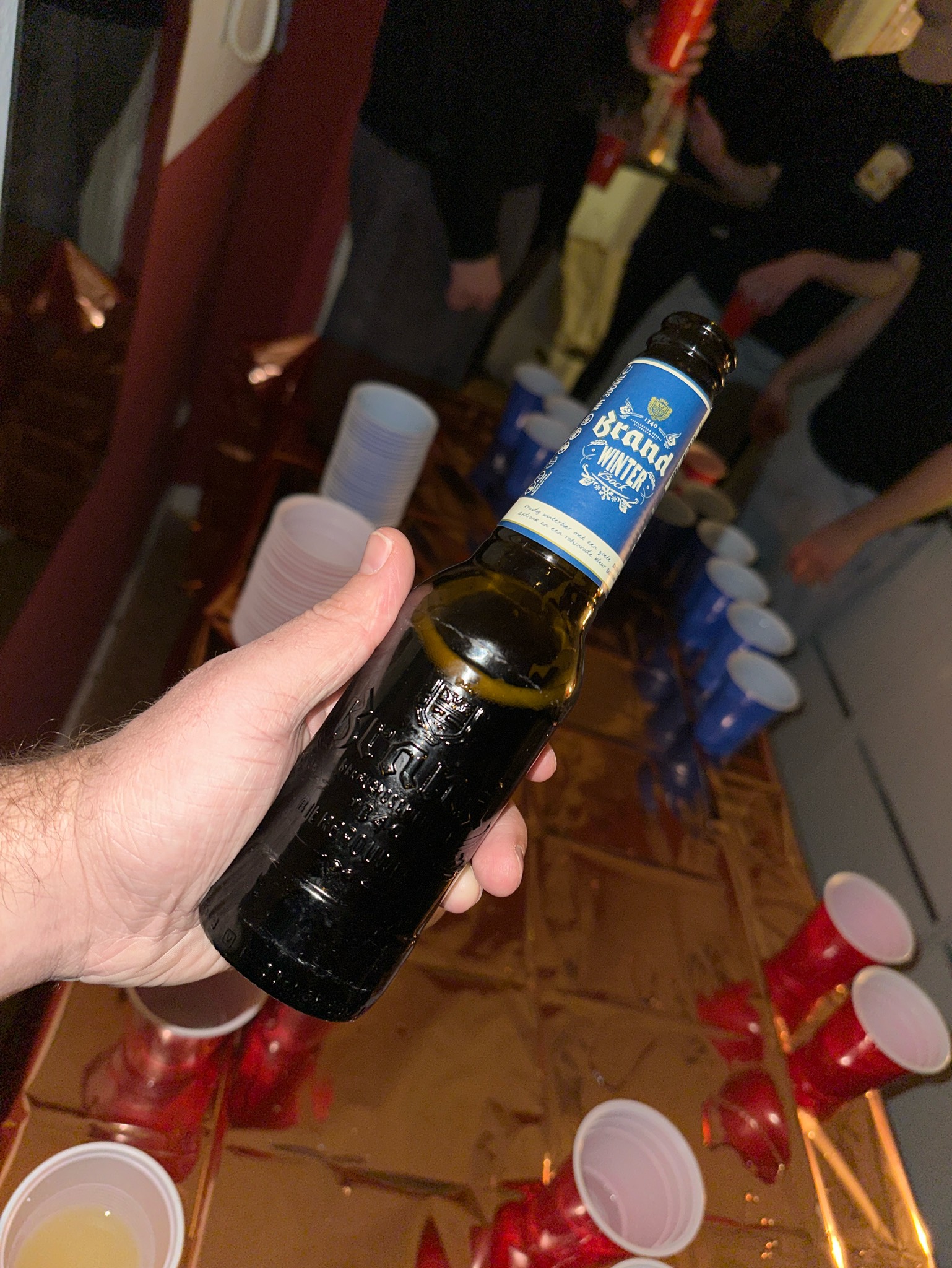 Brand Sylvester, Netherlands