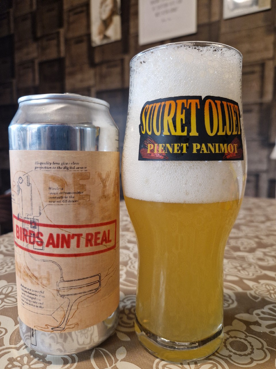 Tin Foil Hat Series #04: Birds Ain't Real, Finland