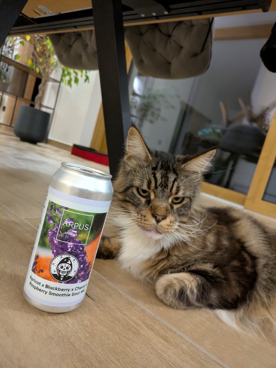 Apricot x Blackberry x Cherry x Raspberry Smoothie Sour Ale (Collab Messorem), Latvia