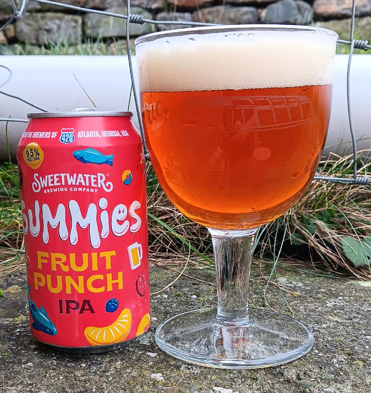 Gummies Fruit Punch Ipa, United States