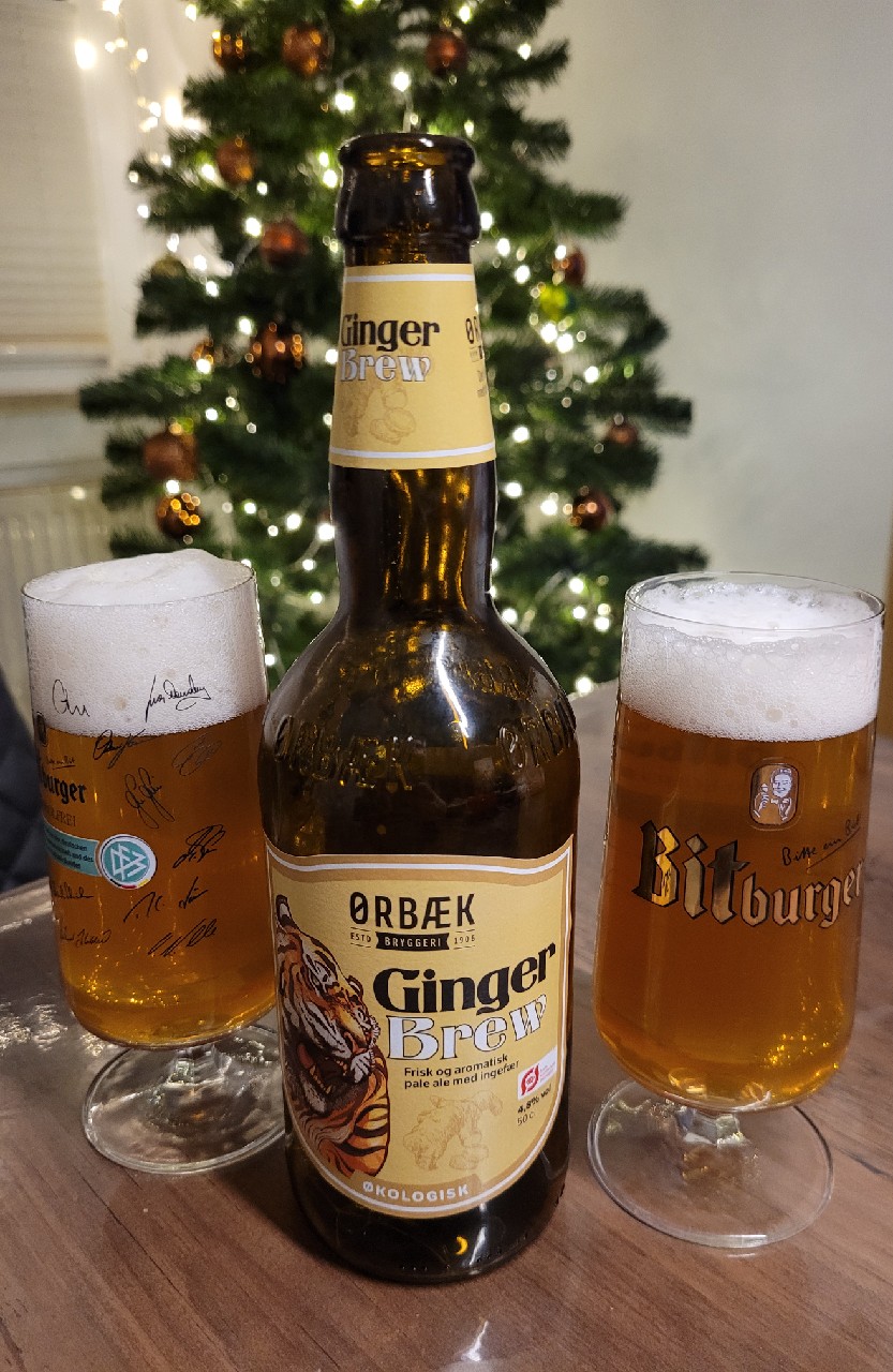 Organic Ginger Brew, Denmark