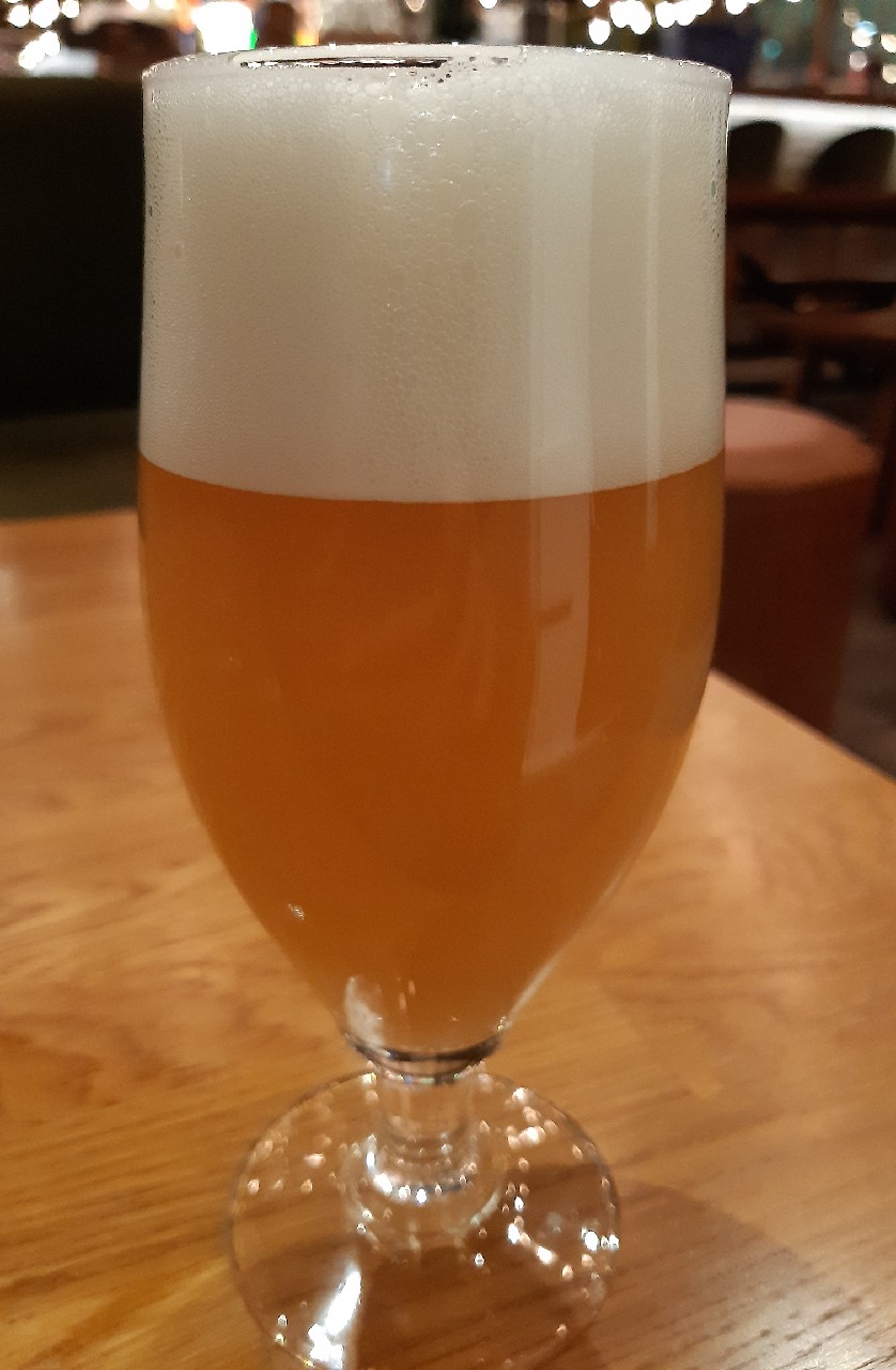 Infinite Maze, United States