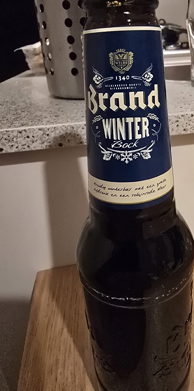 Brand Sylvester, Netherlands