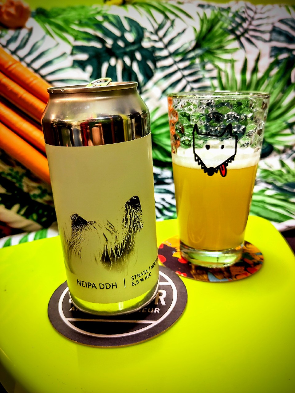 NEIPA DDH Strata / Nectaron / Citra (X White Dog), France