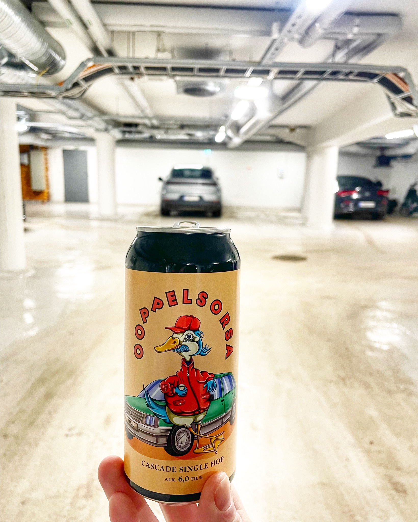 Ooppelsorsa, Finland