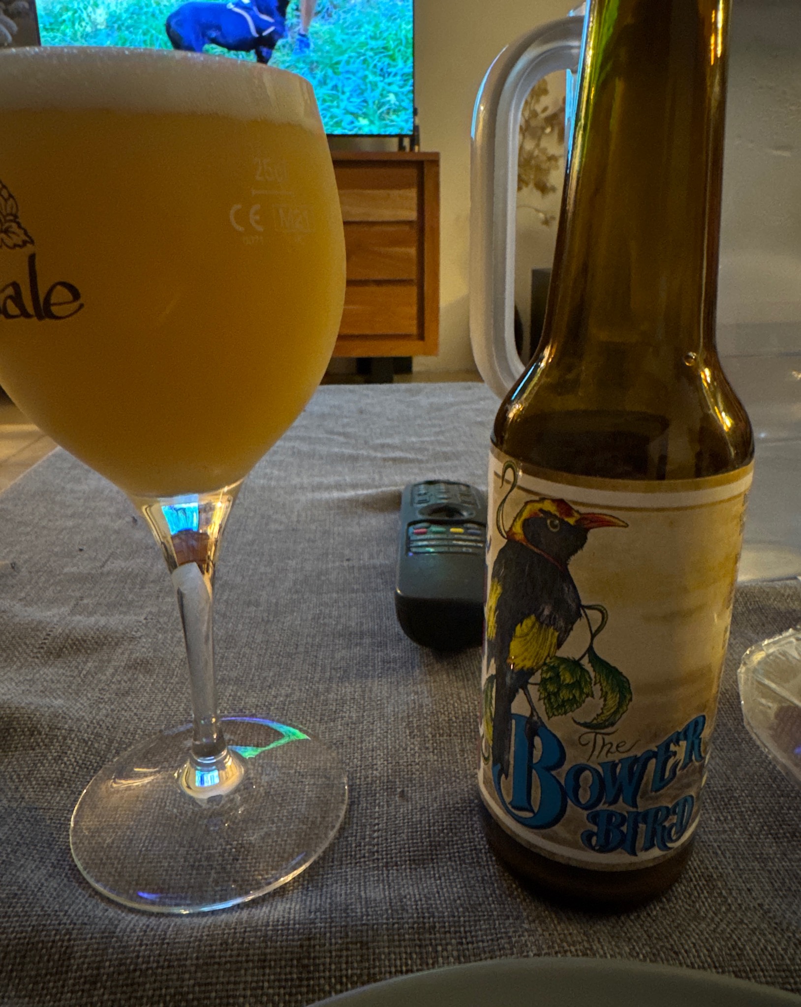 The Bower Bird, France