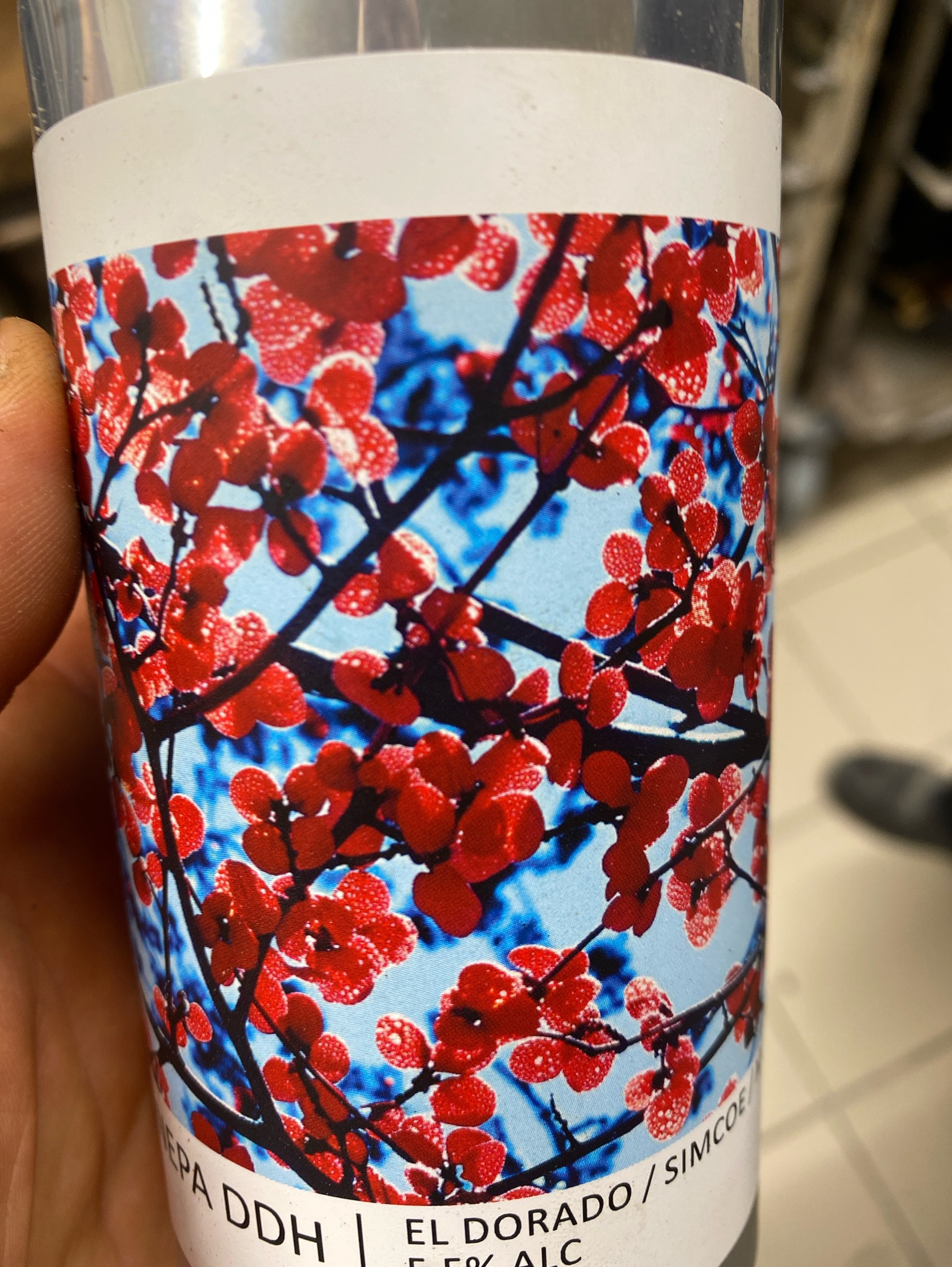 NEIPA DDH Cryo El Dorado / Mosaic / HBC 586, France