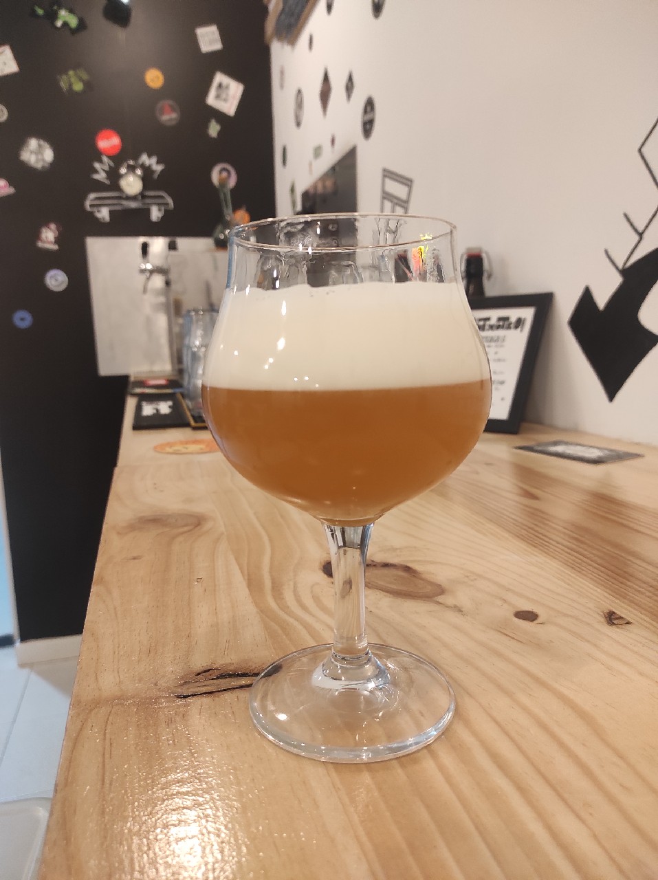 Shiter Was Full 2024, Germany