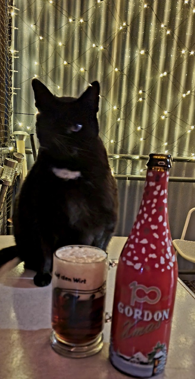 gordon xmass 100 th 2024, Belgium