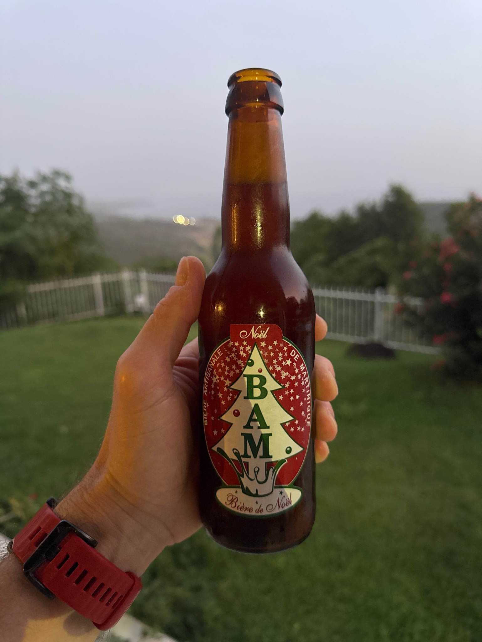 BAM De Noël, Martinique