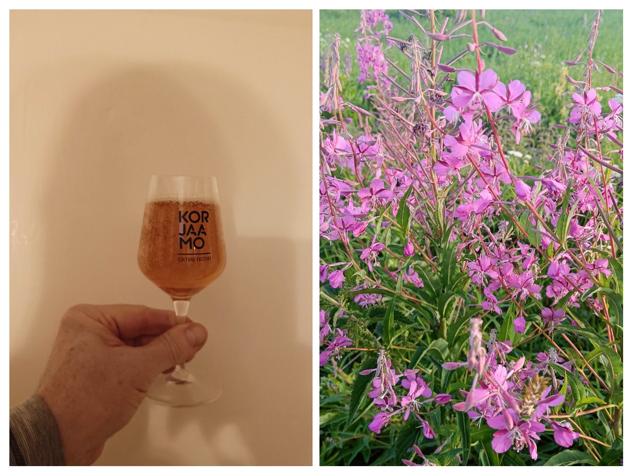 Small Beer: Willowherb, Teva Brew