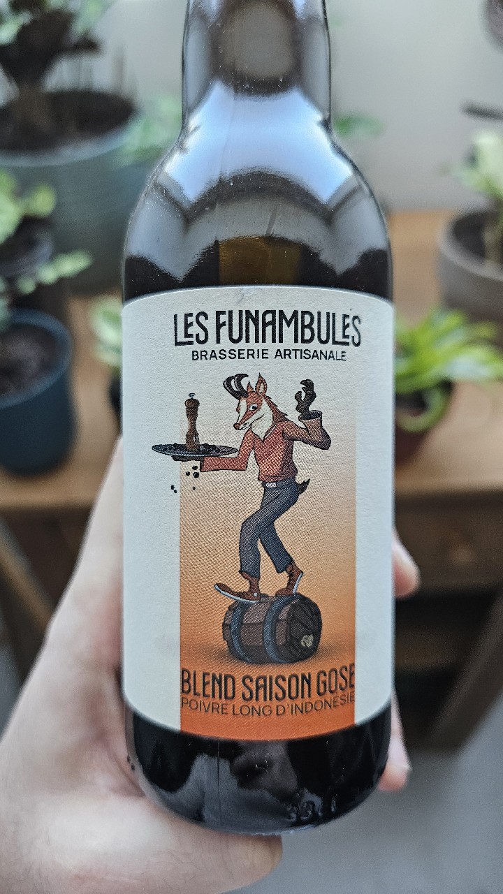 Blend Saison Gose, France