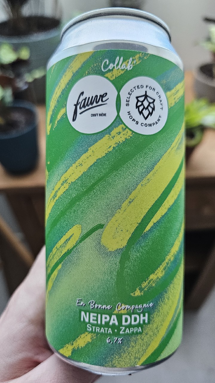 En Bonne Compagnie, France