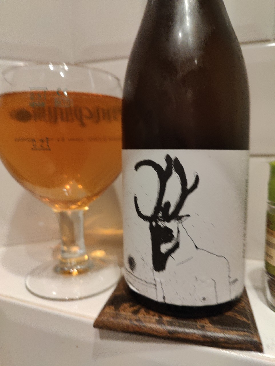 Back of a Woodpecker, Finland